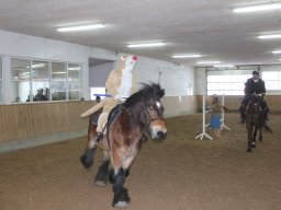 img_5861_web